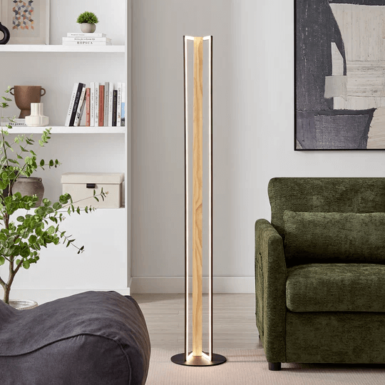 Minimalist Living Room Floor Light - Dimmable CCT Floor Lamp