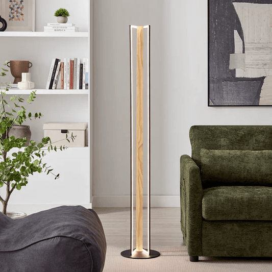 Minimalist Living Room Floor Light - Dimmable CCT Floor Lamp