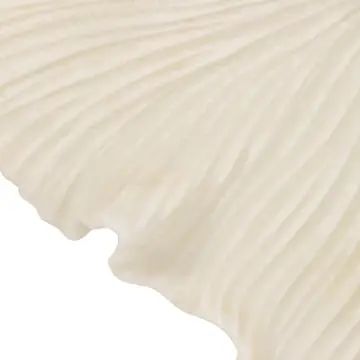 Wall Accent Set of 3 - White Resin Coastal Shell, 18/19/20in