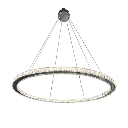Modern LED Ceiling Fixture