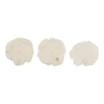 Wall Accent Set of 3 - White Resin Coastal Shell, 18/19/20in