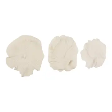 Wall Accent Set of 3 - White Resin Coastal Shell, 18/19/20in