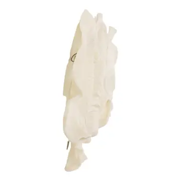 Wall Accent Set of 3 - White Resin Coastal Shell, 18/19/20in